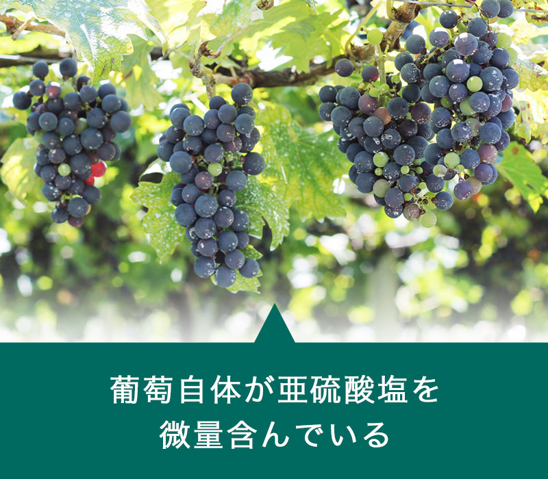 葡萄自体が亜硫酸塩を微量含んでいる